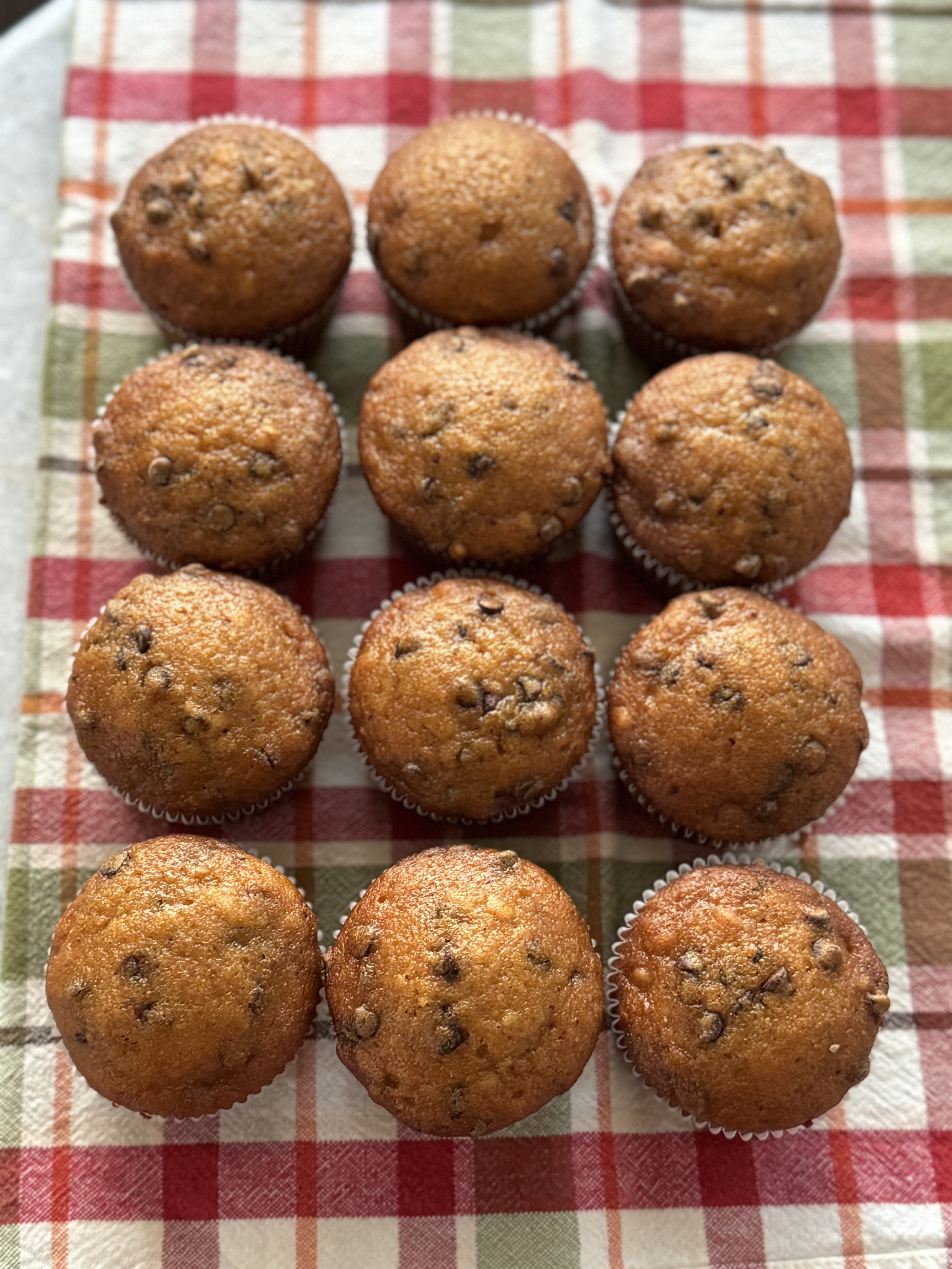Chocolate Chip Pumpkin Muffins